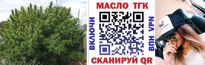 как найти   Костомукша  ТГК концентрат 