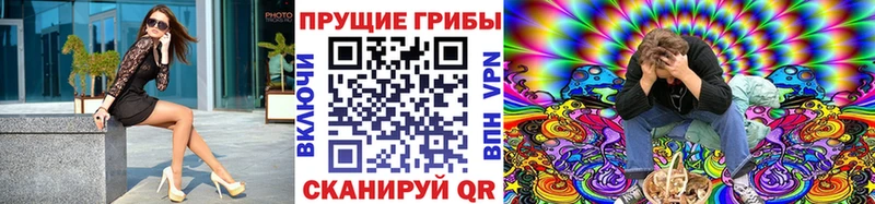 Псилоцибиновые грибы Psilocybine cubensis  купить наркотик  Костомукша 