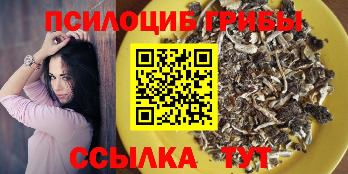 Костомукша  Галлюциногенные грибы мицелий  Вход с VPN 